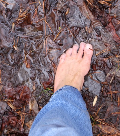 Soggy Puddle; Warm Foot