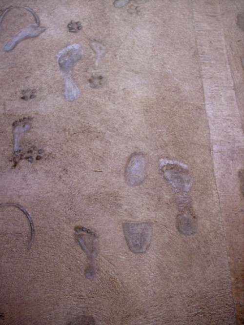 More Footprints