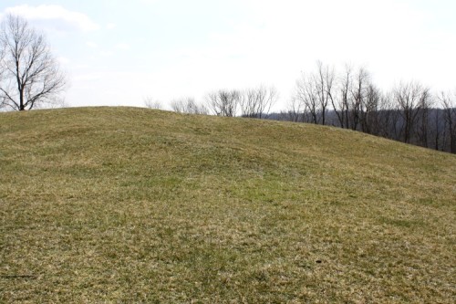 The Head-end of the "Alligator" Mound